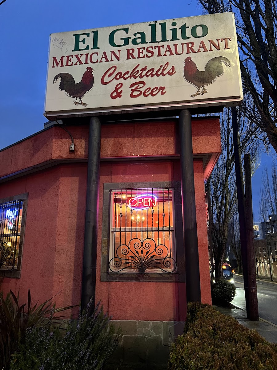 El Gallito